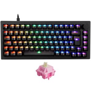 Teclado Akko Clear Black Modelo 5075S Abnt2 Preto Switch Creamy Purple Pro